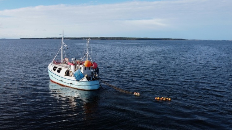 EU-Fischereiverbote: Rainer setzt sich für Ausnahme für Ostsee-Fischer ein