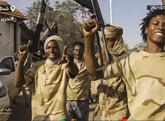 Auswärtiges Amt ''erschüttert'' über Berichte aus sudanesischer Stadt Al-Faschir