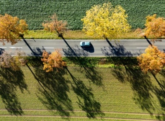 Autoversicherungen im September fast elf Prozent teurer als vor einem Jahr