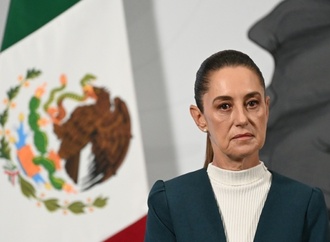 Mann wegen mutmaßlicher Belästigung von Mexikos Präsidentin Sheinbaum festgenommen