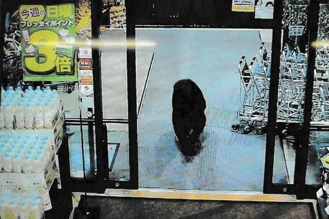 Japan: Bewaffnete Polizisten unterstützen unbewaffnete Soldaten im Kampf gegen Bären