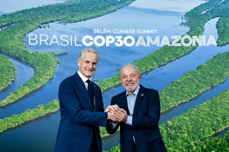 Norwegen stellt bei Klimagipfel Milliarden für neuen Waldschutz-Fonds in Aussicht