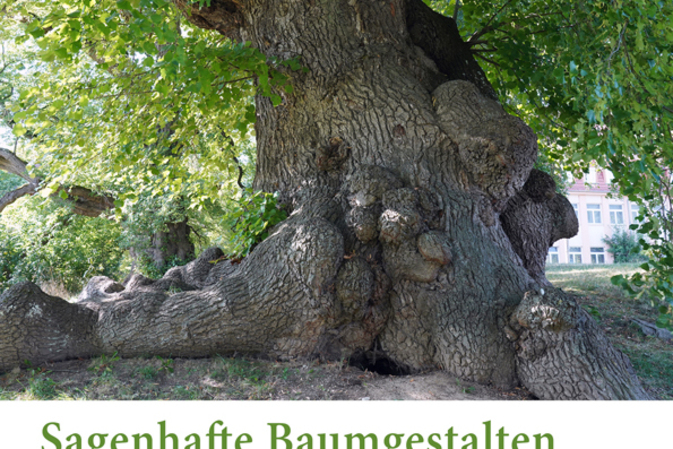 Baumkalender 2026: Einzigartige, sagenhafte Bäume