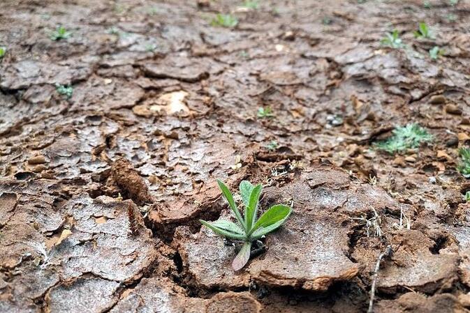 UNHCR: Klimawandel treibt Millionen Menschen zur Flucht