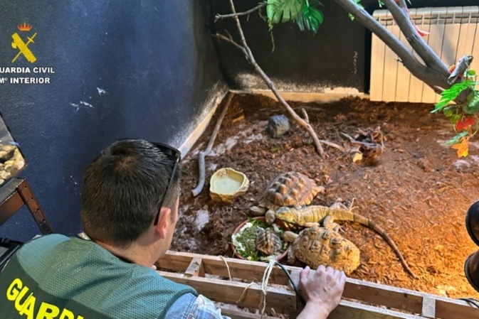 Razzia in privatem Tierheim in Spanien: Polizei rettet hunderte exotische Tiere
