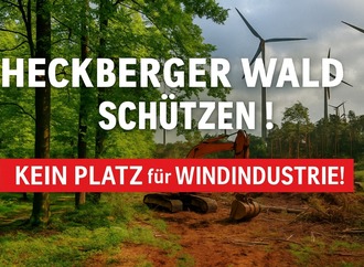 Petition zum Schutz des Heckberger Waldes gestartet