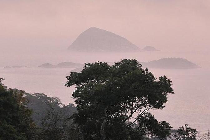 Deutschland stellt eine Milliarde für Tropenfonds bereit