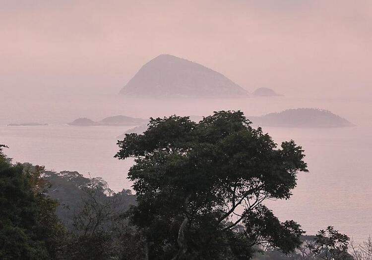 Deutschland stellt eine Milliarde für Tropenfonds bereit