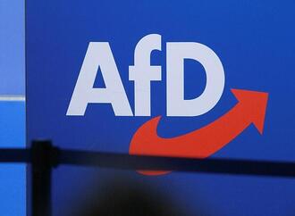 Bericht: AfD stellte 7.000 Anfragen mit Sicherheits-Bezügen