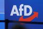 Bericht: AfD stellte 7.000 Anfragen mit Sicherheits-Bezügen