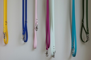 Nach Beißvorfall nahe Trier: Halter von gefährlichem Hund muss Tier abgeben