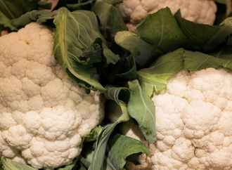 Neuer Ernährungsreport: Verbraucher achten wieder mehr auf den Preis