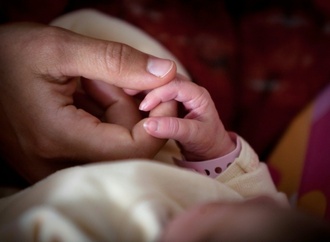 Seit 1997 in Deutschland fast 434.000 Babys nach Kinderwunschbehandlung geboren