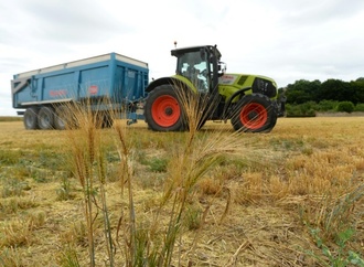 Womöglich letzte Verhandlungsrunde für EU-Gentechnik-Reform begonnen