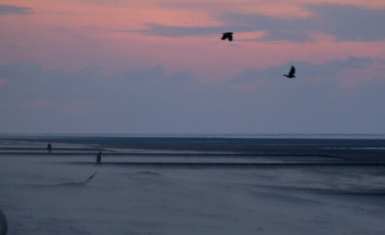Bestattungsschiff strandet vor Juist - Seenotretter holen Passagiere von Bord