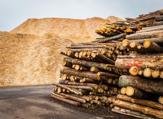 Studie: Reststoffe aus Ackerbau und Holzwirtschaft können großen Kimabeitrag leisten