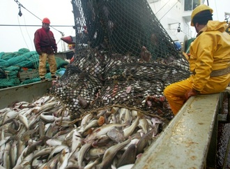 Lange Verhandlungen über Nordsee-Fischereiquoten in Brüssel erwartet