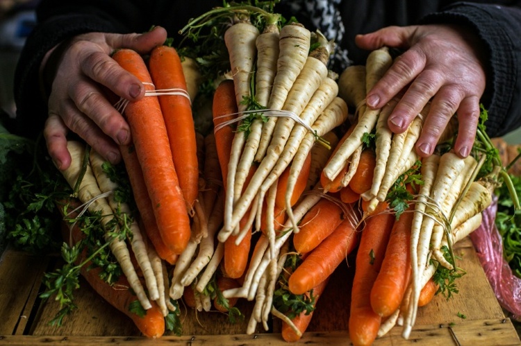 Vegetarischer Wolf aus französischem Supermarkt-Werbespot geht viral