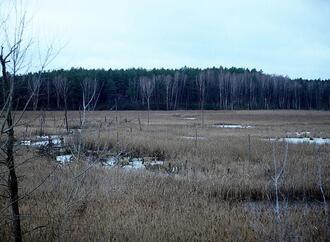 Europaweite Moor-Emission doppelt so hoch wie bisher geschätzt
