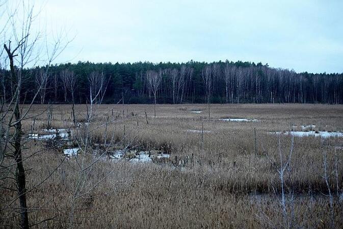 Europaweite Moor-Emission doppelt so hoch wie bisher geschätzt