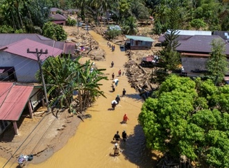 Seltene Orang-Utans durch Folgen von Flutkatastrophe in Indonesien bedroht