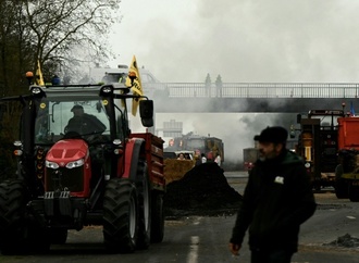 Mercosur und Rindervirus: Französische Bauern protestieren weiter