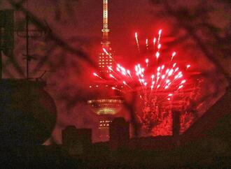 Silvester: Grüne wollen verschärfte Sprengstoffverordnung