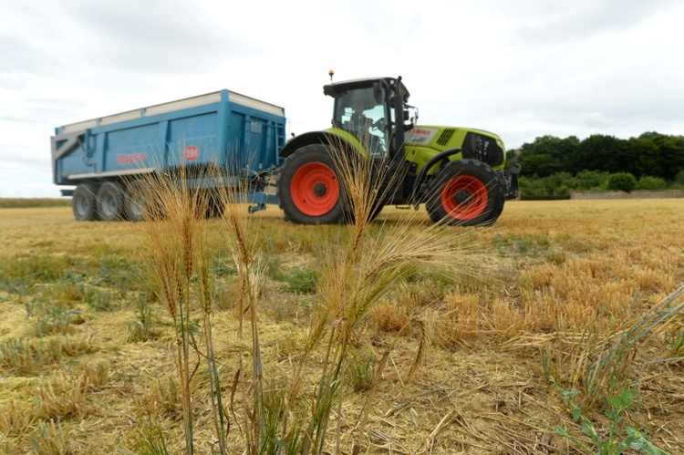 Abstimmung unter EU-Ländern über Gentechnik-Lockerungen