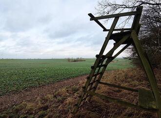 Wolf im Jagdrecht - NRW-Umweltminister fordert Nachbesserungen