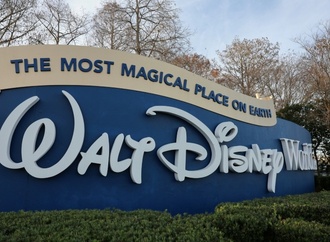 Künstlicher Fels rollt im Disney World in Florida auf Publikum zu - Mitarbeiter verletzt