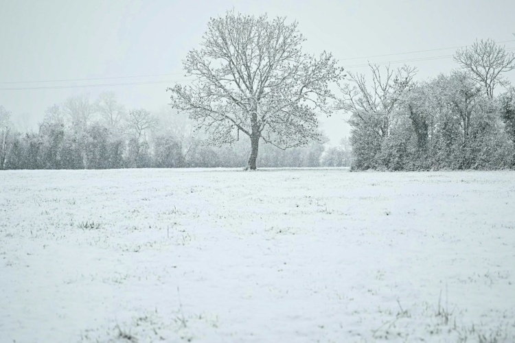 Harscher Winter legt weiterhin Teile Europas lahm - Fünf Tote in Frankreich