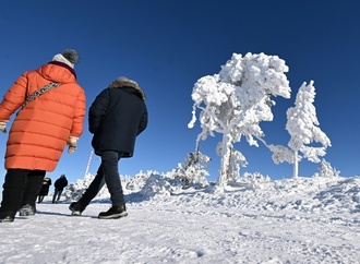 Krankenhäuser melden Anstieg der Patientenzahlen durch Winterwetter