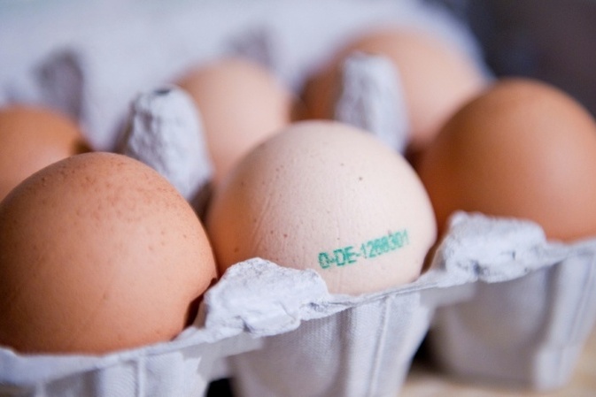 Durch Lebensmittel ausgelöste Erkrankungen: Zahl der Ausbrüche deutlich gestiegen