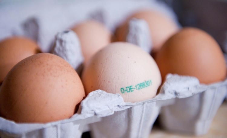 Durch Lebensmittel ausgelöste Erkrankungen: Zahl der Ausbrüche deutlich gestiegen