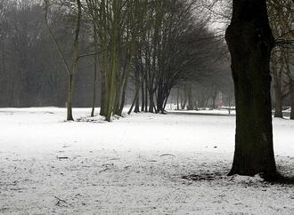 Feuerwehrverband warnt nach Wintereinbruch vor Waldspaziergängen