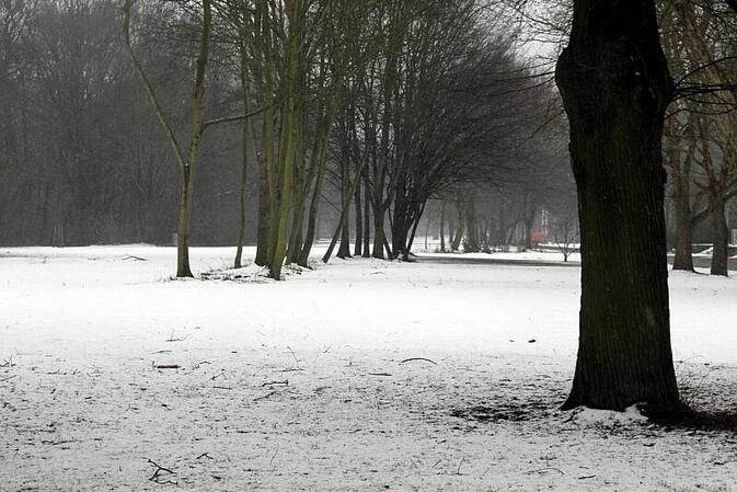 Feuerwehrverband warnt nach Wintereinbruch vor Waldspaziergängen