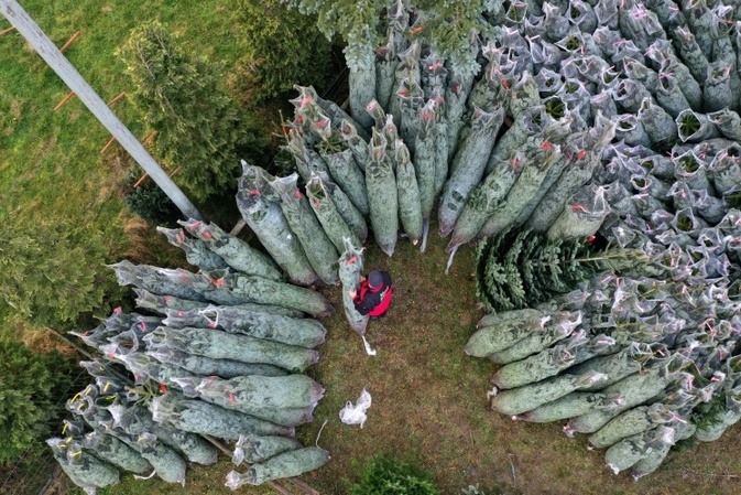 Frau wirft Weihnachtsbaum aus dem sechsten Stock: 88-Jährige in Bayern verletzt