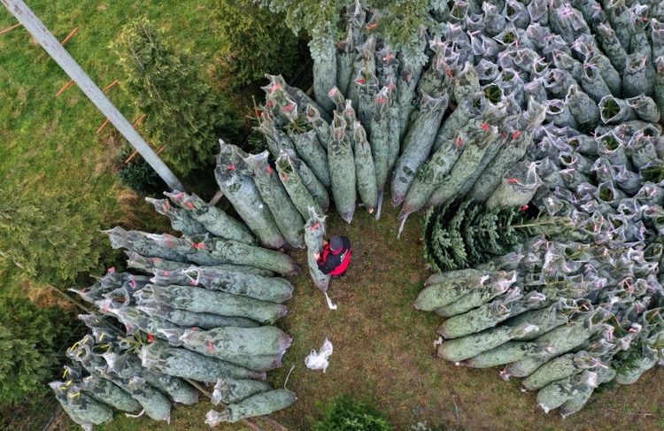 Frau wirft Weihnachtsbaum aus dem sechsten Stock: 88-Jährige in Bayern verletzt