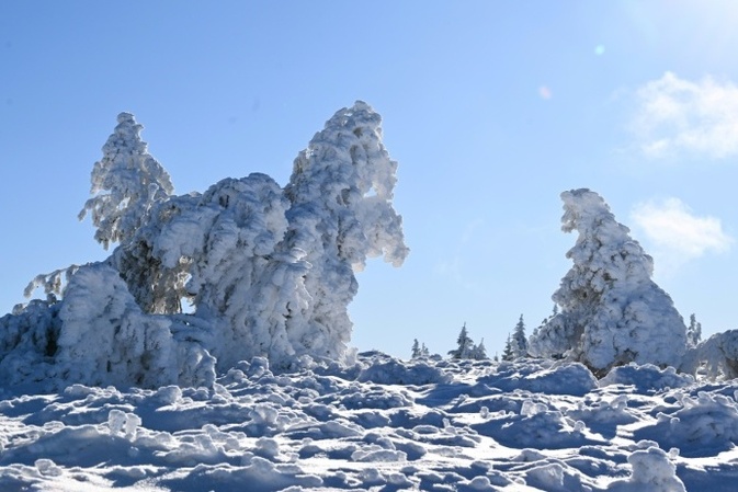 Landwirte können mit Kälteeinbruch und Schneesturm gut leben