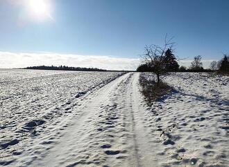 Kälteeinbruch: Verbände erwarten positive Folgen für Landwirtschaft