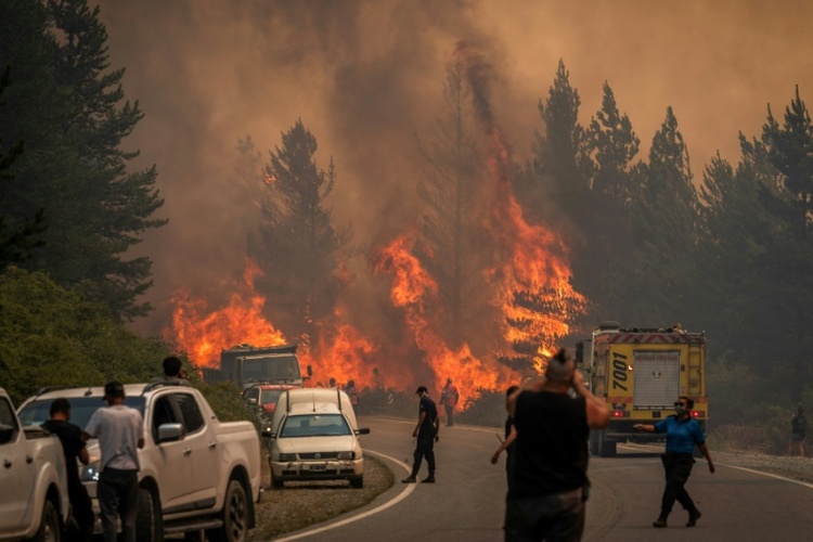 Argentinien: Waldbrände in Patagonien zerstören 15.000 Hektar Fläche