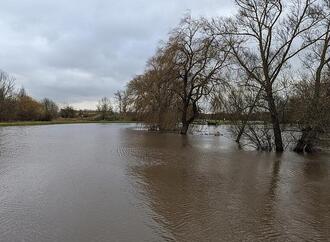 Naturkatastrophenschäden auch 2025 trotz Rückgang sehr hoch