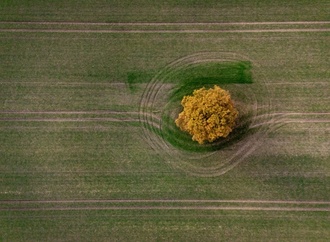 Mercosur: Agrarminister Rainer will genau auf Einhaltung von Schutzklauseln achten