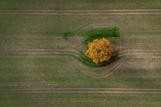 Mercosur: Agrarminister Rainer will genau auf Einhaltung von Schutzklauseln achten