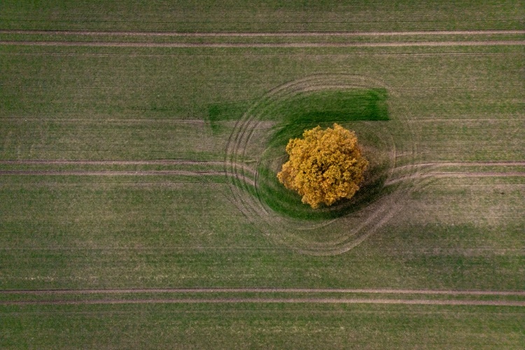 Mercosur: Agrarminister Rainer will genau auf Einhaltung von Schutzklauseln achten