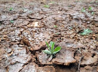 Studie: Wasserknappheit gefährdet deutsche Wettbewerbsfähigkeit