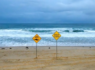 Australien: Vierter Hai-Angriff in Bundesstaat New South Wales binnen zwei Tagen