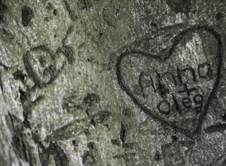 Studie: Jugendliche warten länger mit erstem Sex