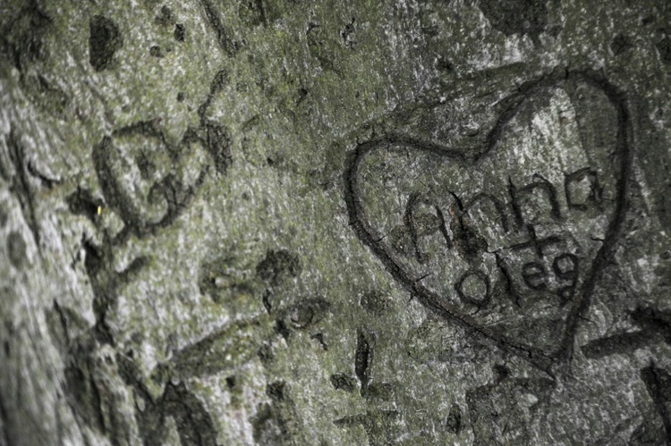 Studie: Jugendliche warten länger mit erstem Sex