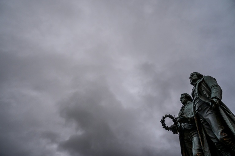 200 Jahre nach Goethes Tod: Forscher finden Ameise in dessen Bernsteinsammlung